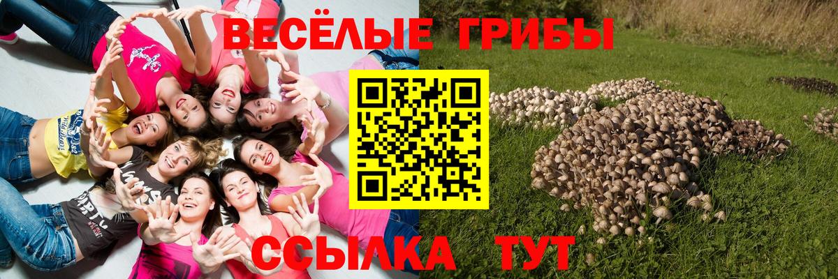 Галлюциногенные грибы прущие грибы  цены   Липецк  Вход с VPN 